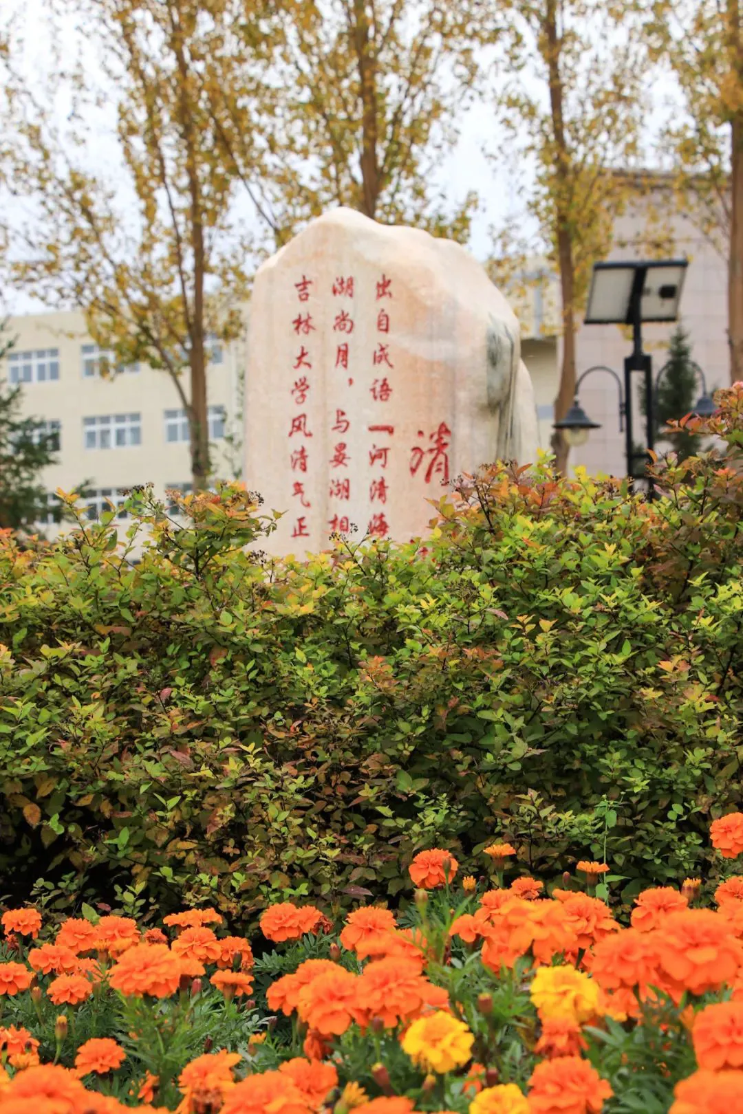 篮球训练内容文字描述_0